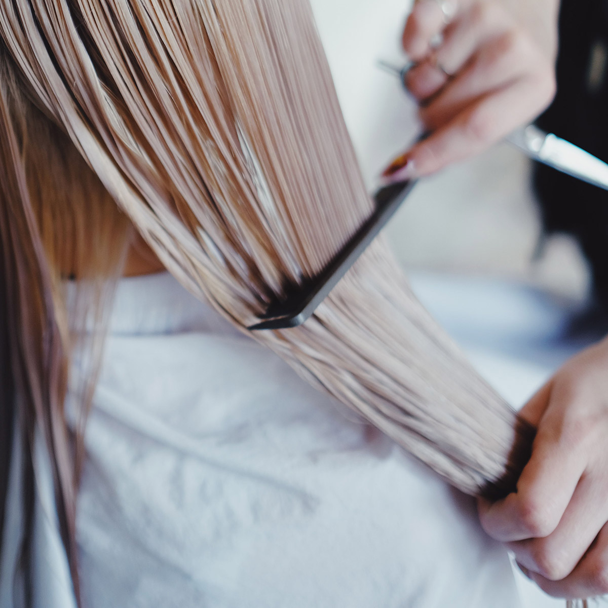 thsde-hair-stylist hair stylist cutting hair